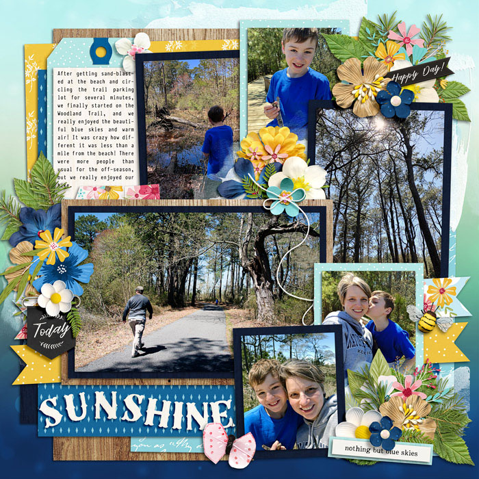 Sunshine on the Woodland Trail