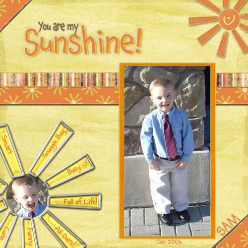 Sunshine SAM