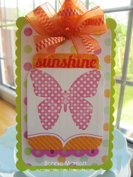 Sunshine Tag