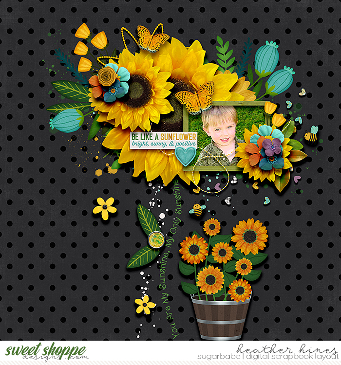 Sunshine