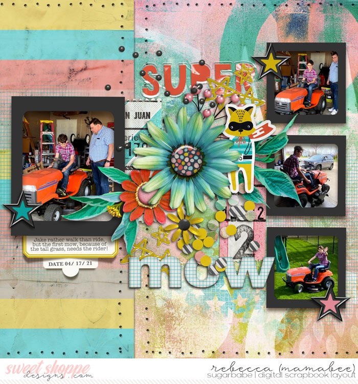 Super 2 Mow
