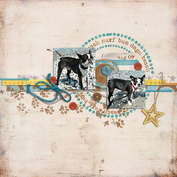 surf bum dogs