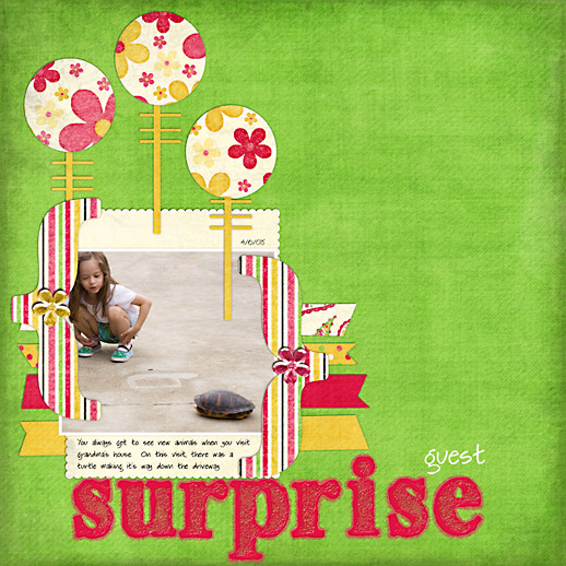 Surprise Guest