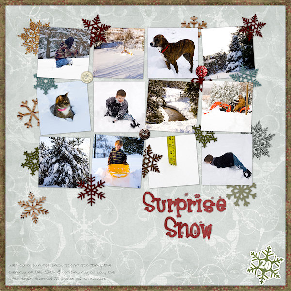 Surprise Snow