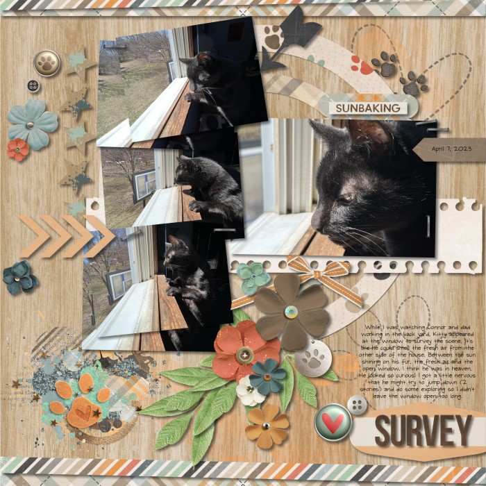 Survey