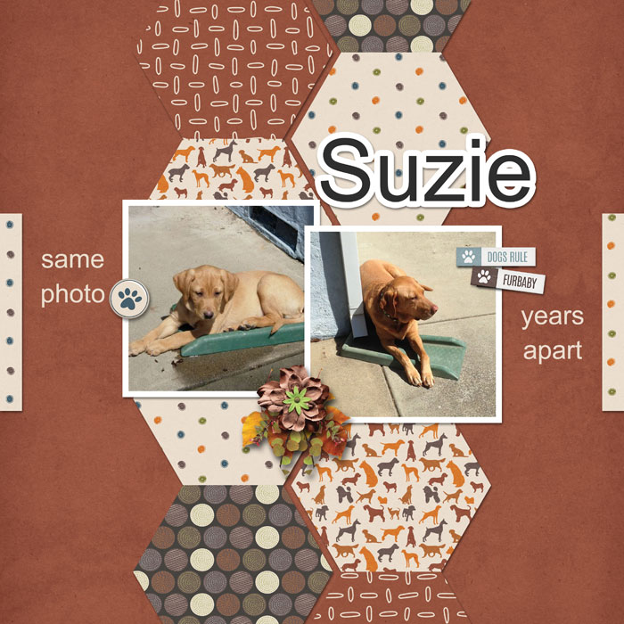Suzie