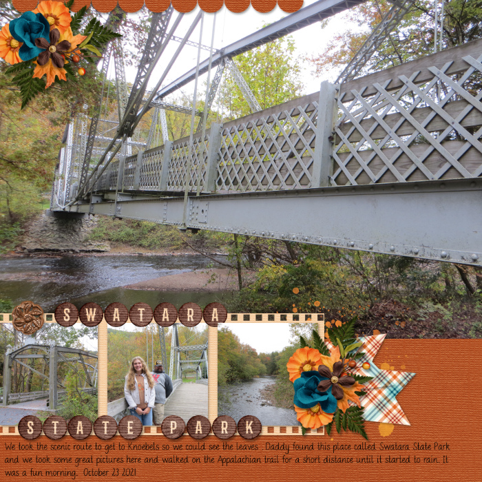 Swatara State Park