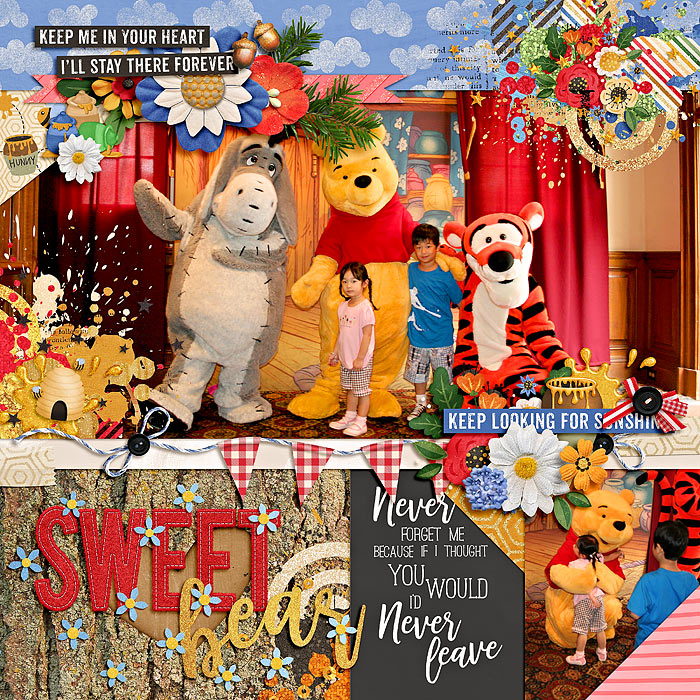 sweet bear