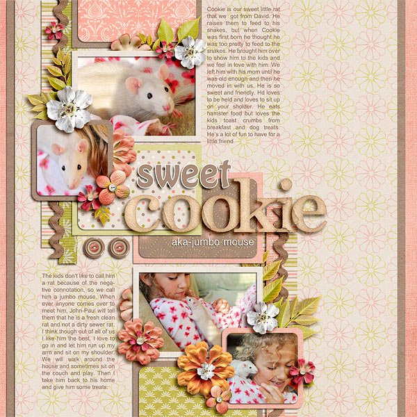 Sweet Cookie