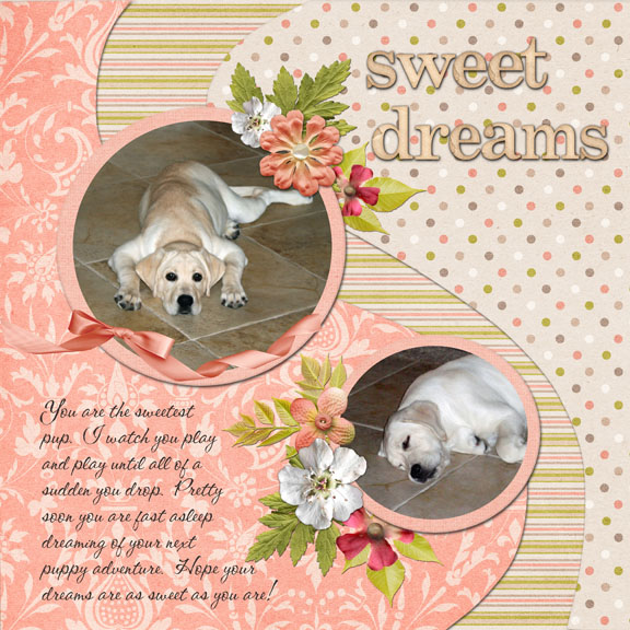 Sweet Dreams