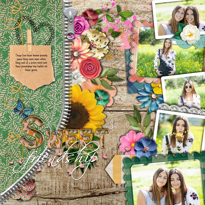 SWEET FRIENDSHIP
