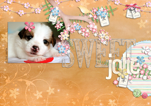 Sweet Jolie