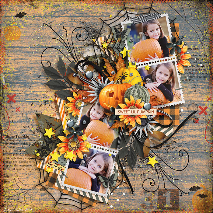 sweet lil pumpkin