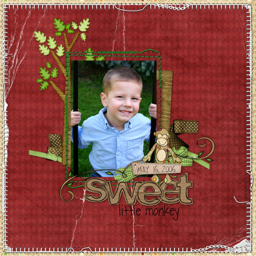 Sweet Little Monkey