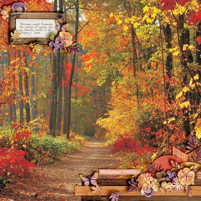 Sweet November