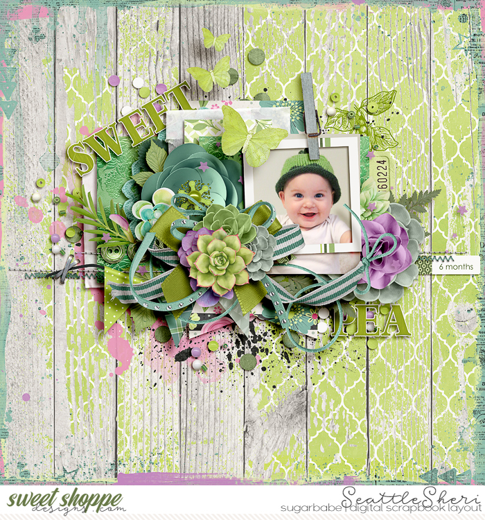 Sweet Pea
