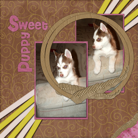 Sweet Puppy