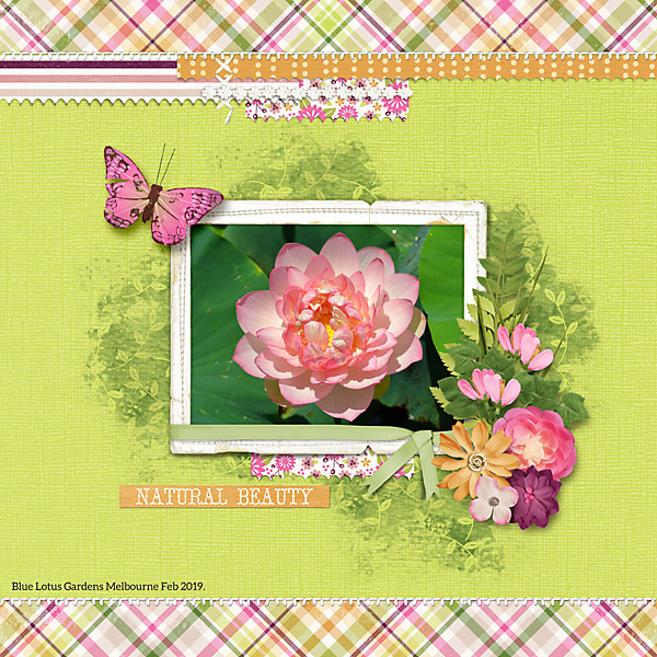 Sweet Shoppe 13th birthday Feb 20 Digital Scrap Ingredients