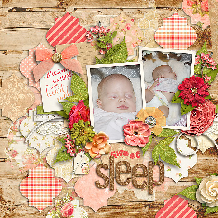 Sweet Sleep