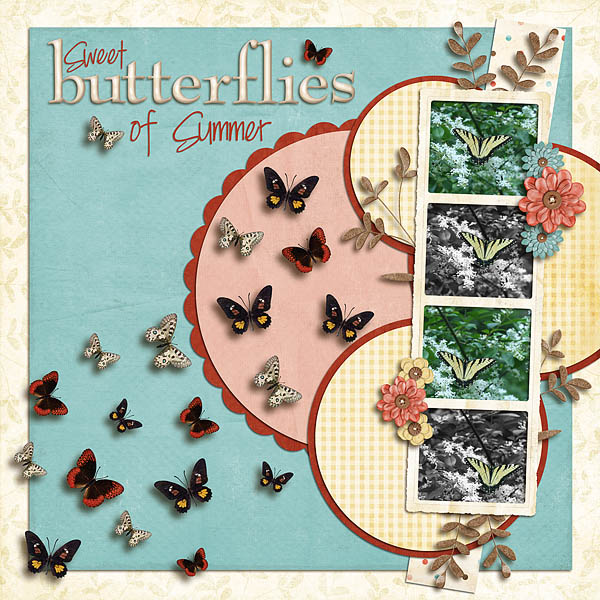Sweet Summer Butterflies