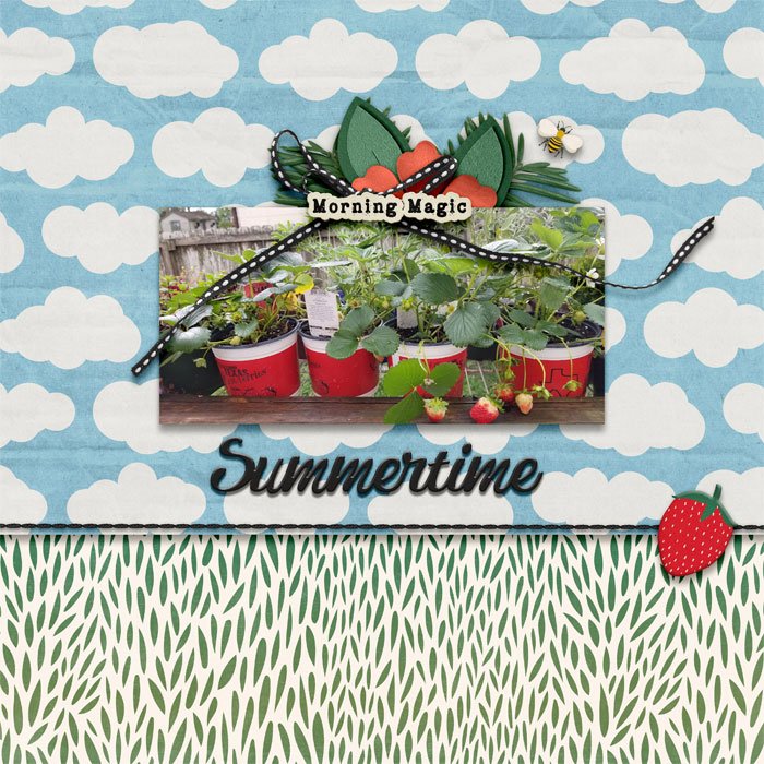 sweet summer mornings