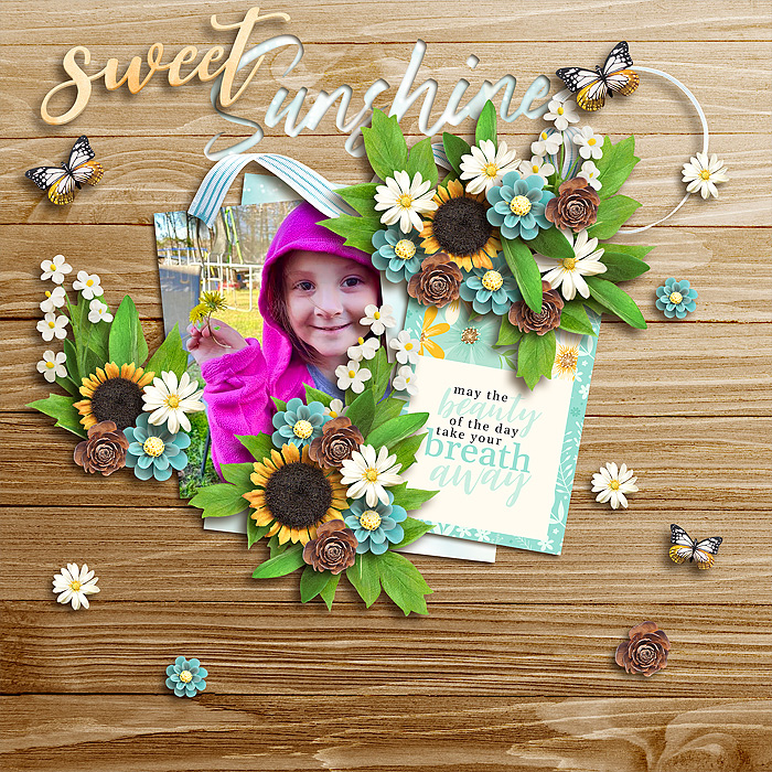 Sweet Sunshine