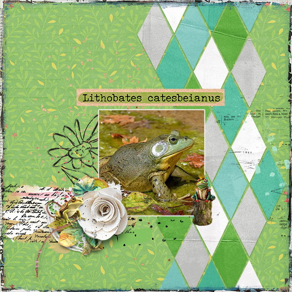 sweet_shoppe_2024_04_frog