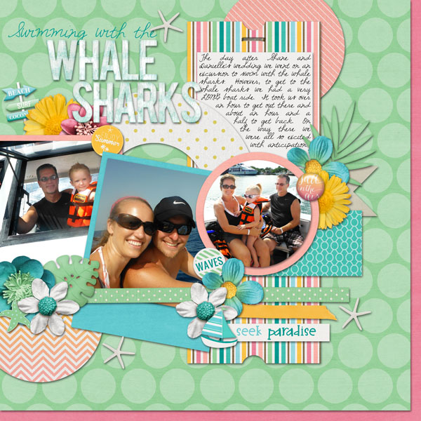 Swimming with Whale Sharks