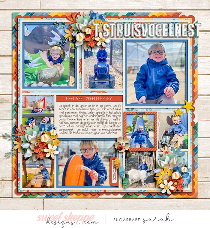 't Struisvogelnest