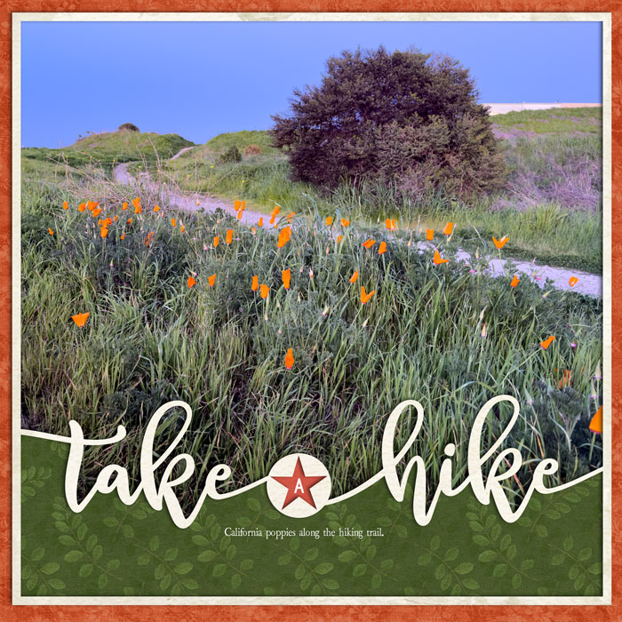 Take a Hike