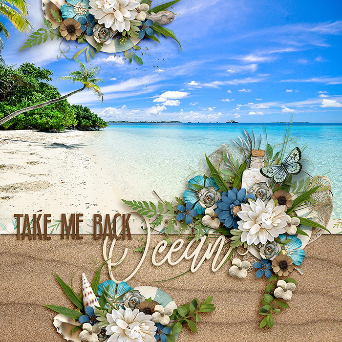 Take Me Back: Ocean