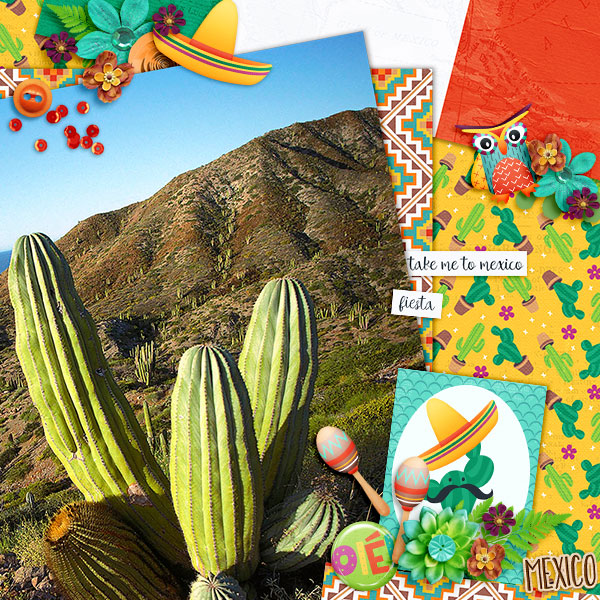Take Me to Mexico