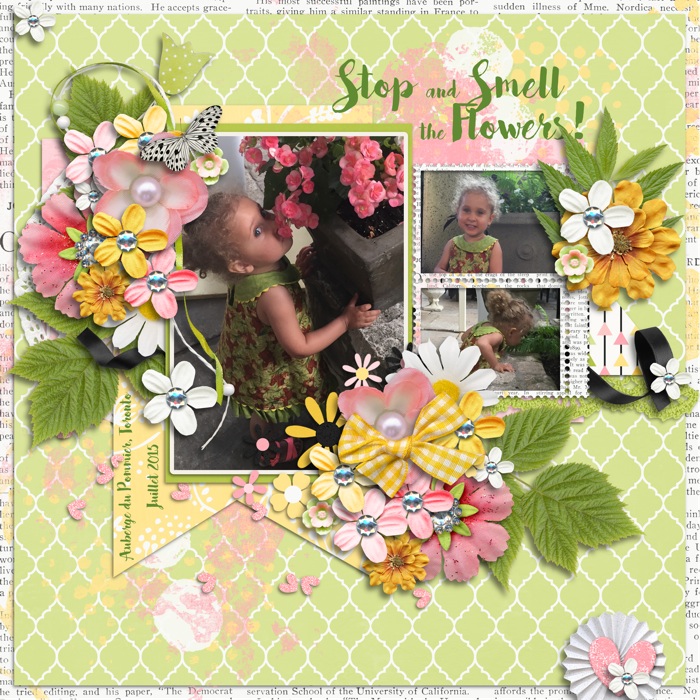 Take the Time to Smell the Flowers