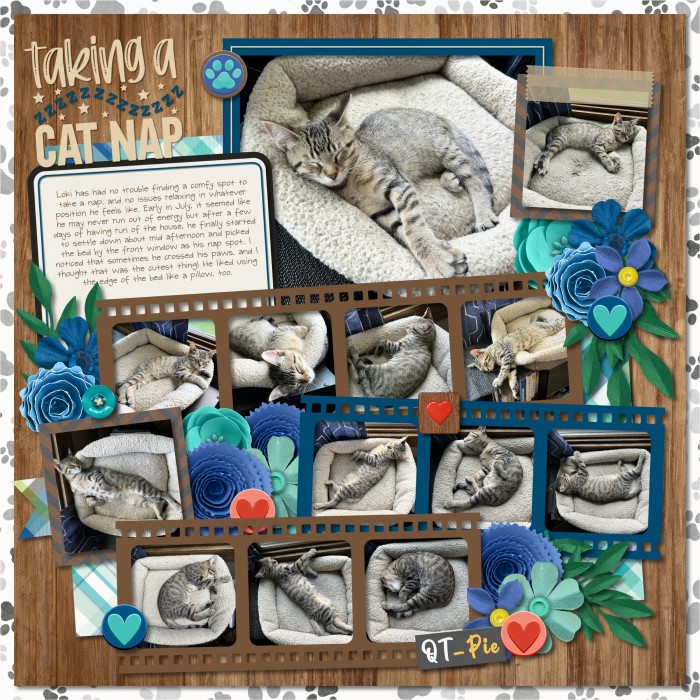 Taking a Cat Nap