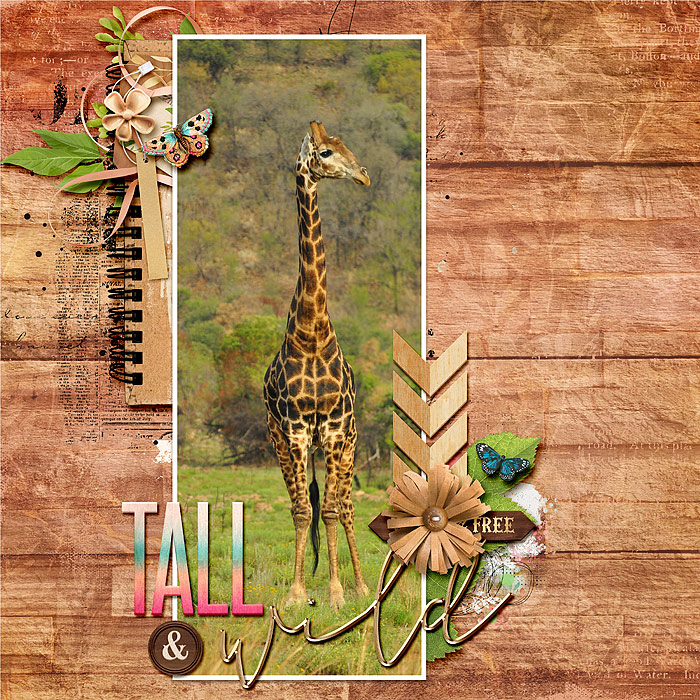 tall, wild & free