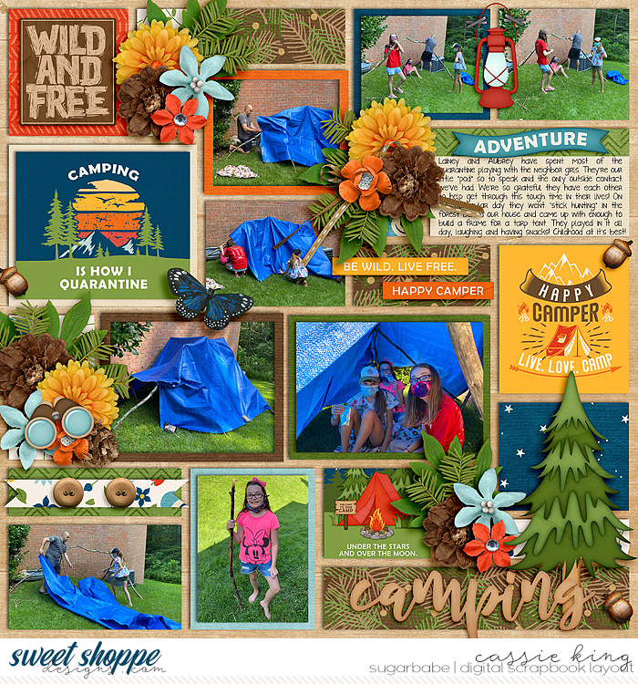 Tarp Tent