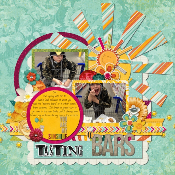 Tasting Bars