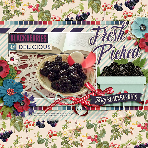 Tasty Blackberries