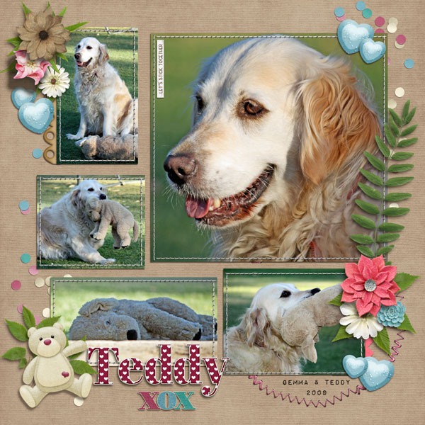 Teddy