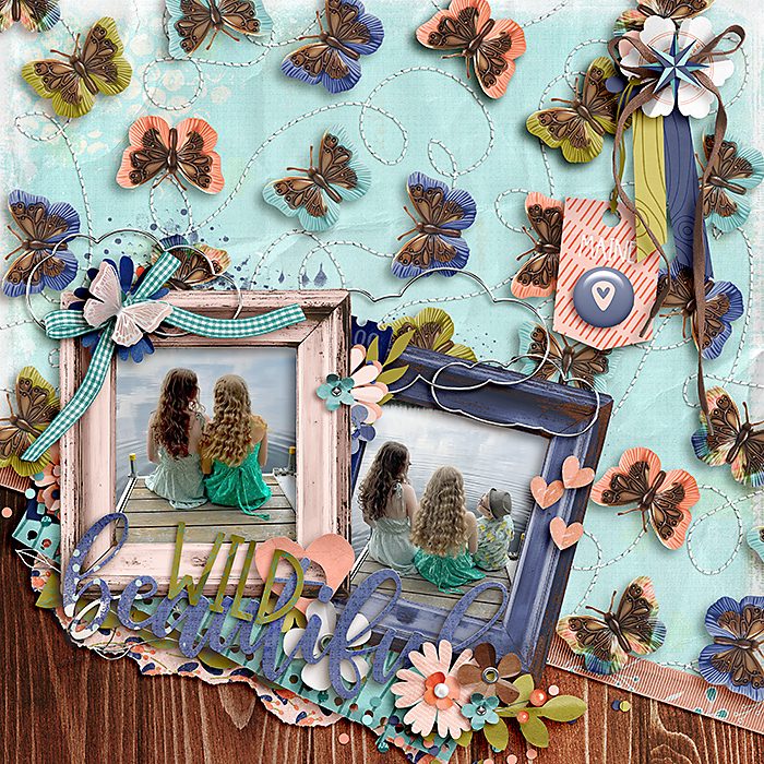 Templates Butterflies