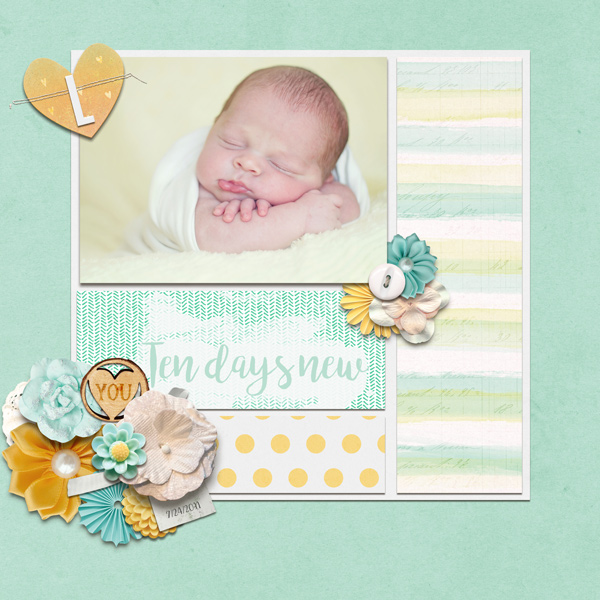 Ten Days New- Oct Passport #16
