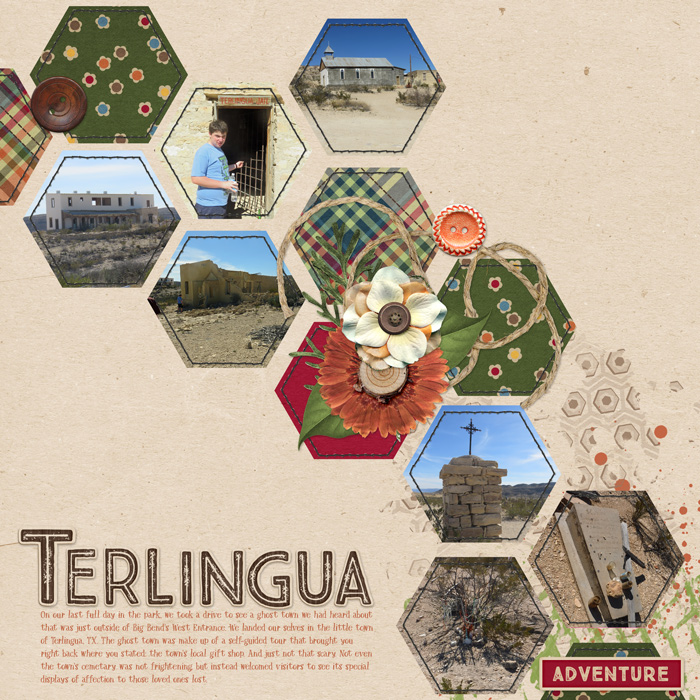 Terlingua March 2017