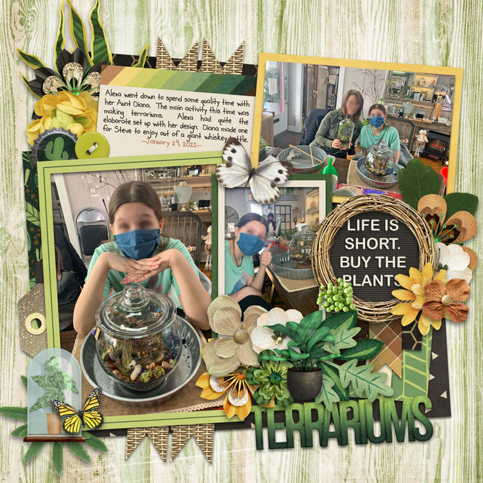 Terrariums