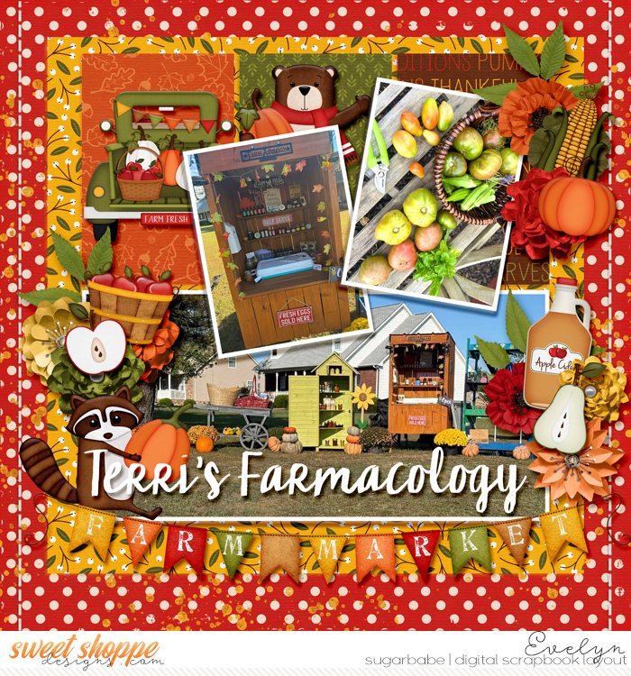 Terri's Farmacology