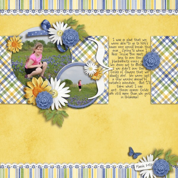 Texas Bluebonnets, 2012