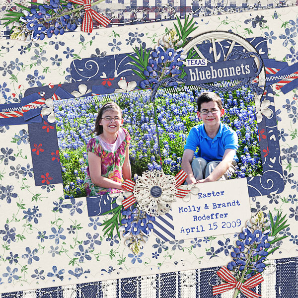 Texas Bluebonnets