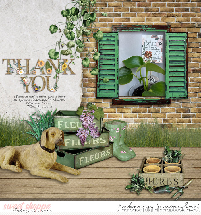 Thank you plant
