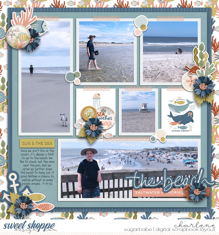 The Beach - Saltwater Memories