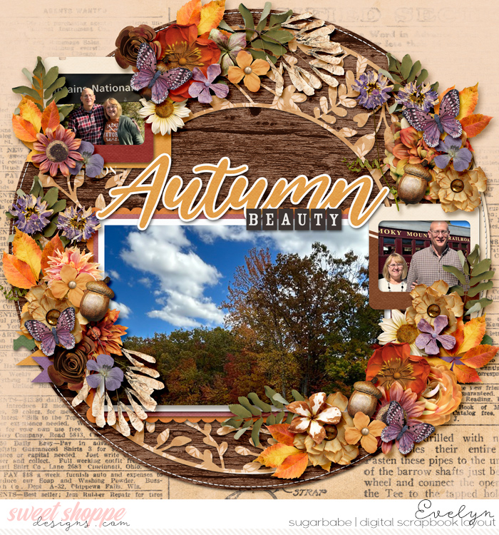 The Beauty of Autumn