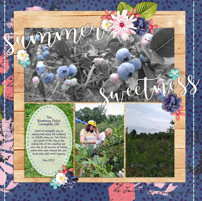 The Blueberry Patch